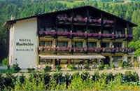 Hotel Rastbichler